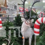 Foto: Mercados de Nicaragua llenos de adornos de Navidad / TN8