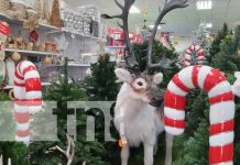 Foto: Mercados de Nicaragua llenos de adornos de Navidad / TN8