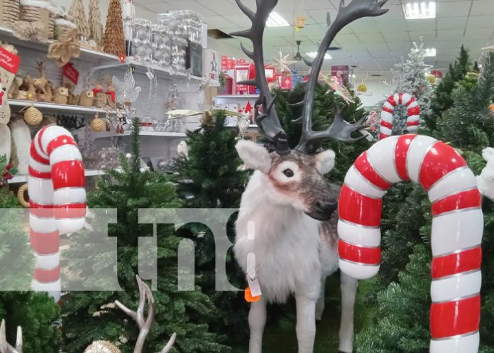 Foto: Mercados de Nicaragua llenos de adornos de Navidad / TN8