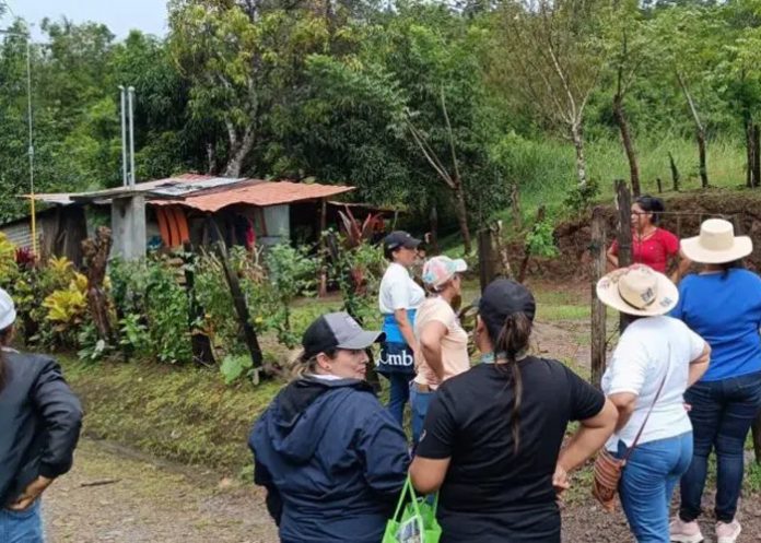 Foto: Alarma en Panamá /cortesía