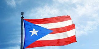 Foto: Puerto Rico decide su futuro /cortesía