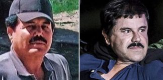 Foto: La jugada maestra de "El Chapo" /cortesía