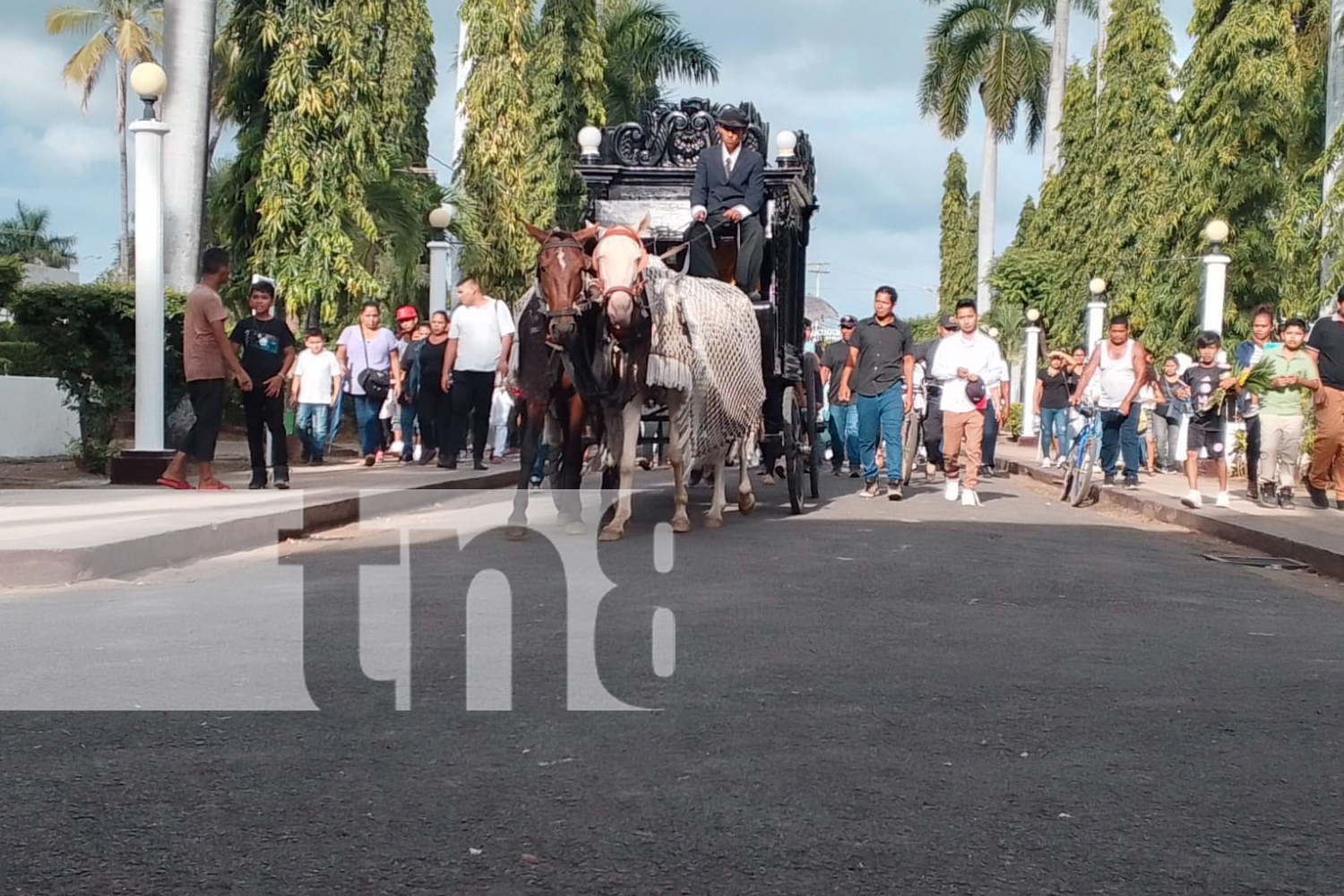 Foto; Despedida entre lágrimas a joven víctima de trágico ataque en Granada/TN8