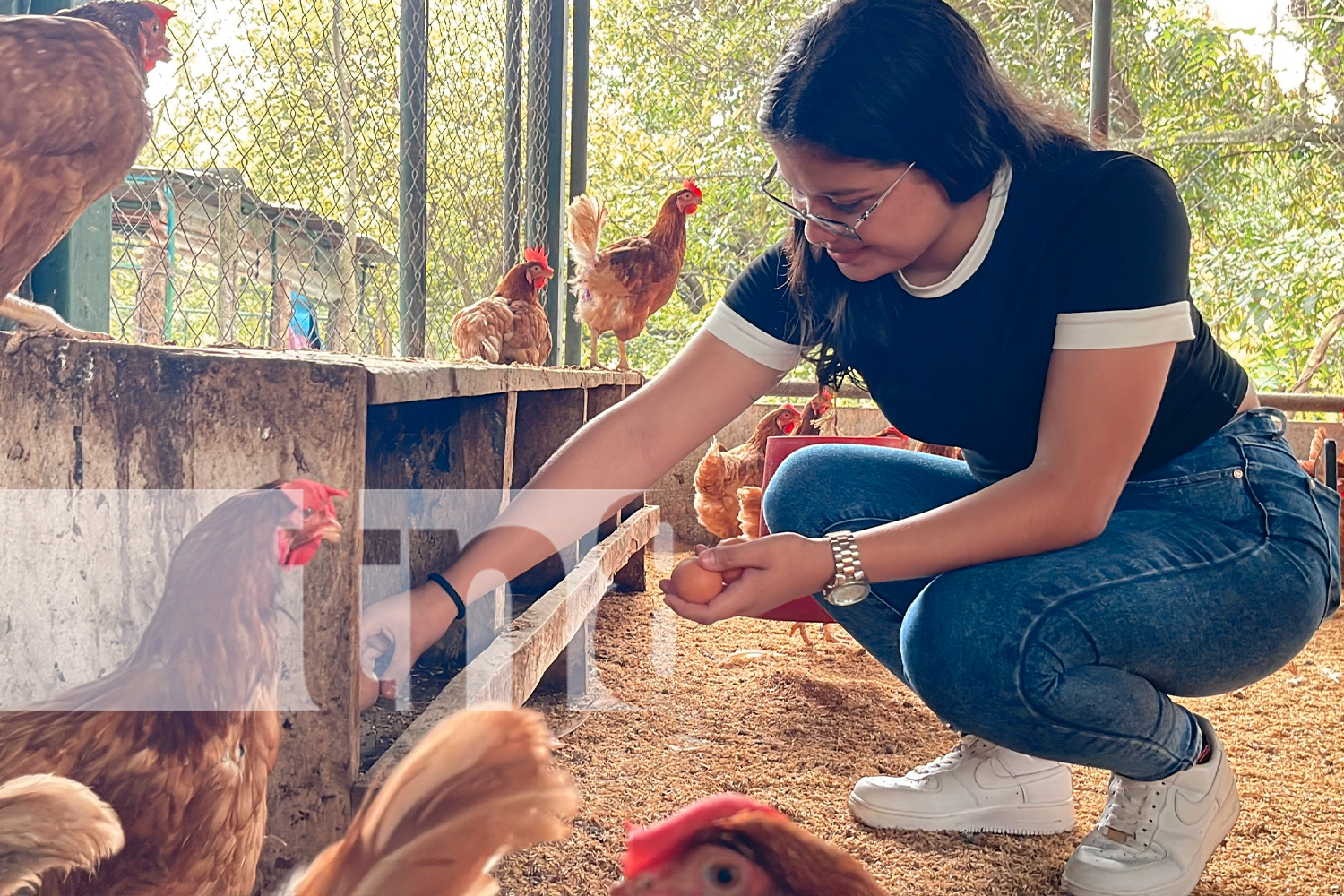 Foto: Universidad Nacional Agraria CUR Juigalpa lanza Escuela de Producción Avícola