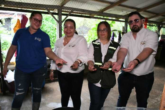 Foto: MARENA impulsa iniciativas de economía ambiental en pro de la biodiversidad