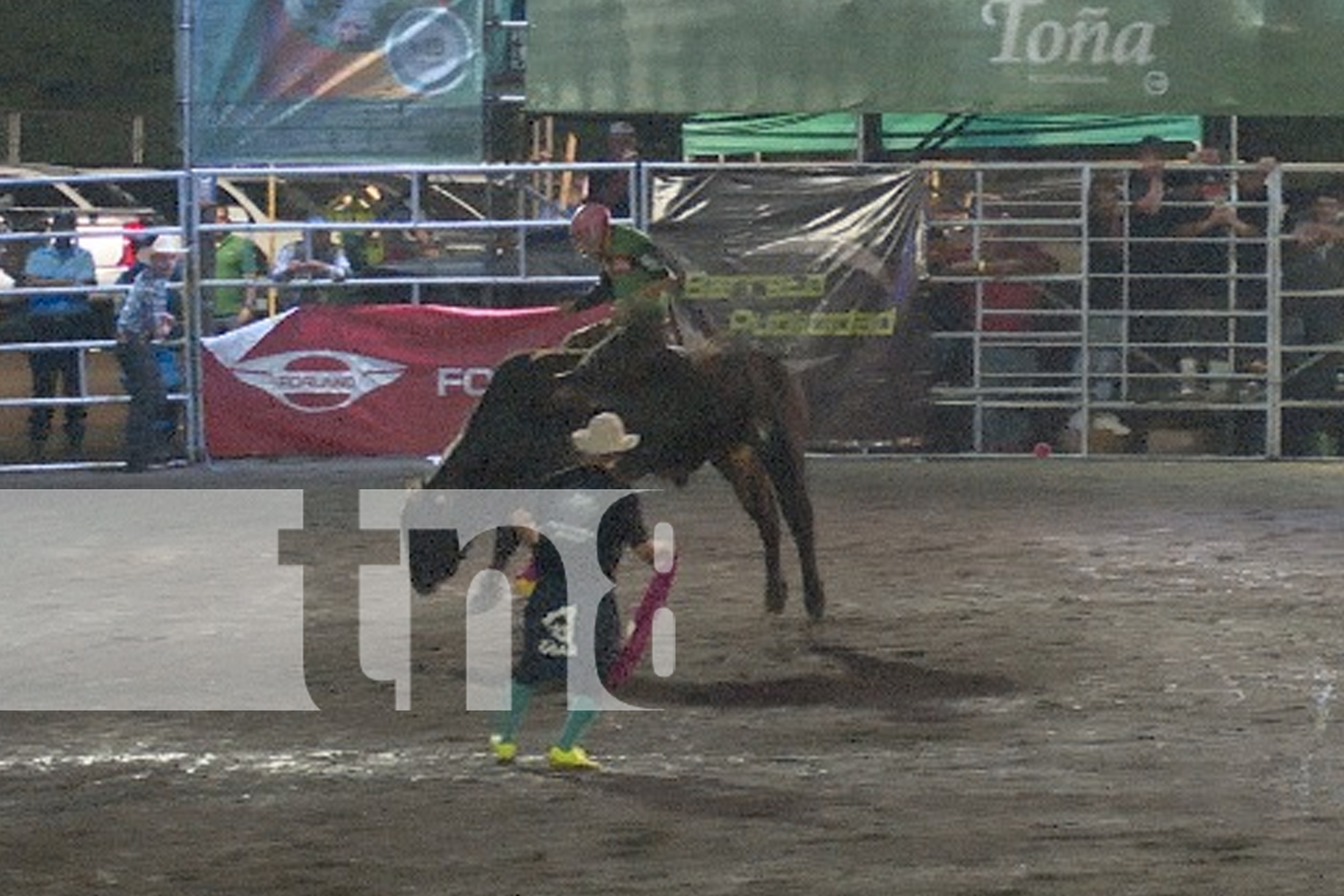 Foto: Managua celebra la Navidad con la Feria Ganadera 2024 y su rodeo profesional/TN8