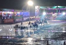 Foto: Familias desafían el clima para disfrutar de la Feria Ganadera Navidad 2024 en Managua/TN8