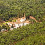 Foto: Hombre irrumpe en monasterio de Valencia y ataca a siete monjes al grito de "¡soy Jesucristo!"