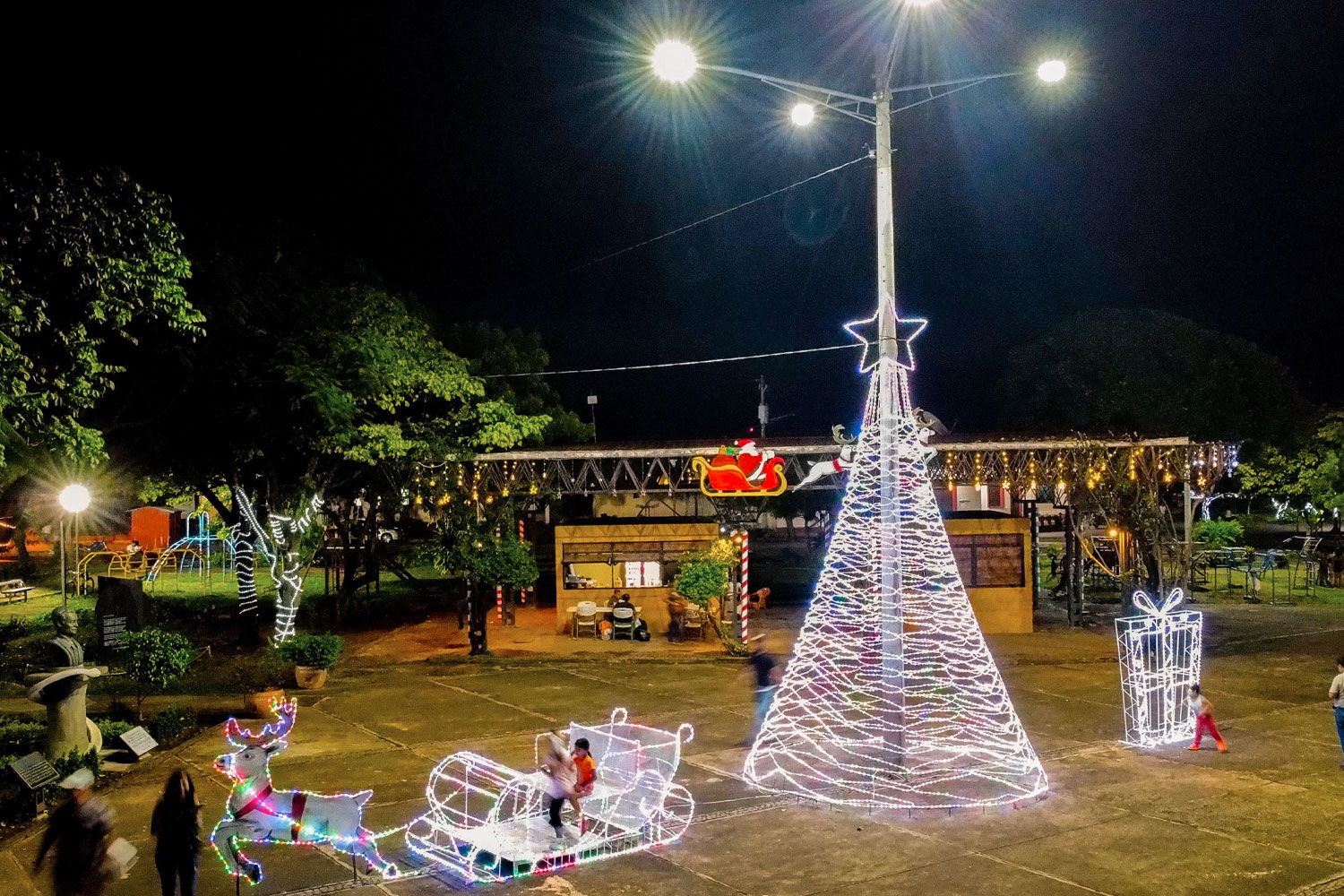 Foto: Granada ya luce su espíritu navideño! Con más de 2 km de luces y árboles en los parques, la ciudad brilla con alegría/TN8