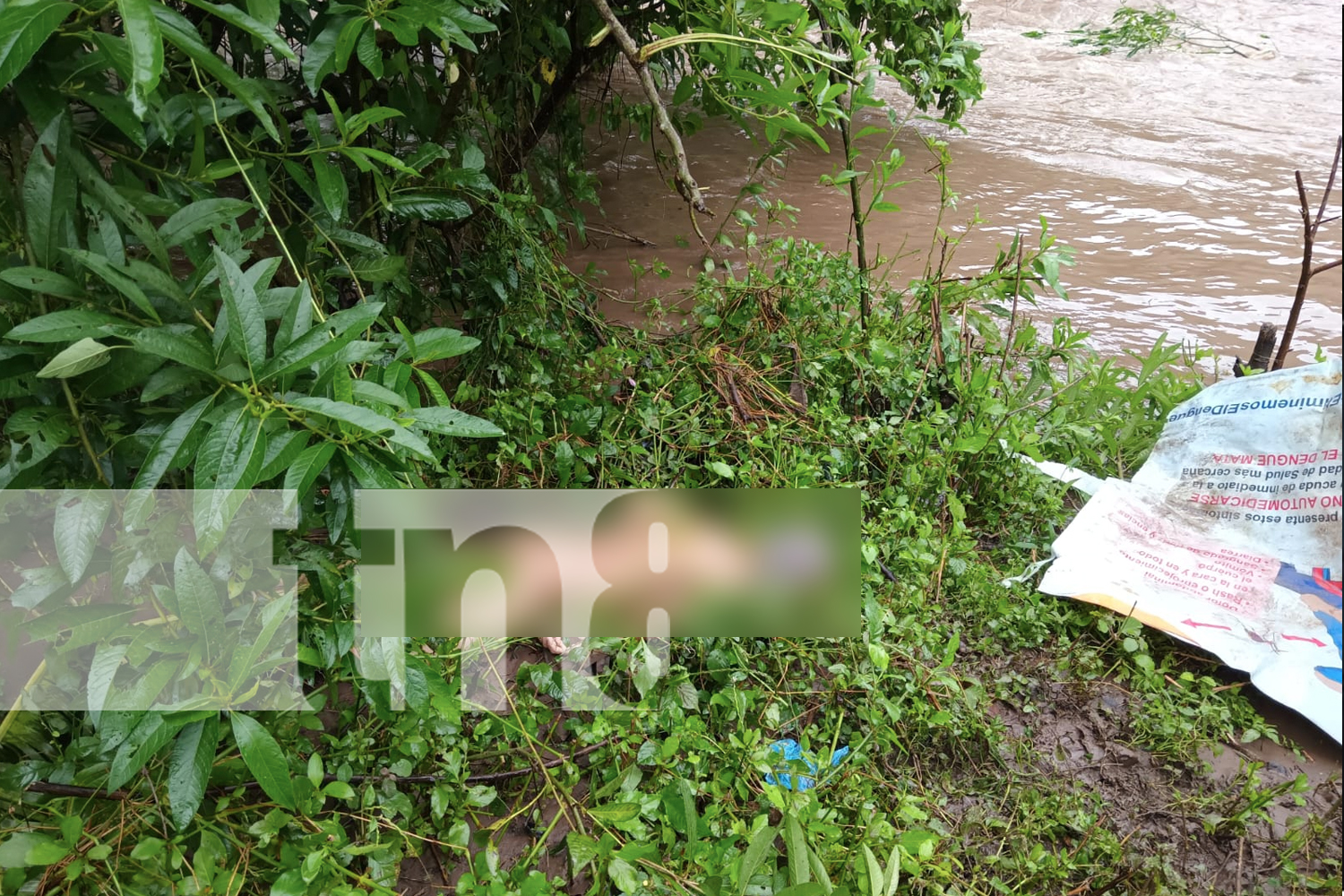 Foto: Niño de 8 años y su abuelo mueren en tragedia fluvial en La Trinidad/ TN8