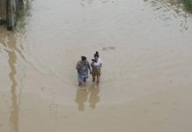 Foto: Tormenta tropical Sara devasta Honduras /cortesía