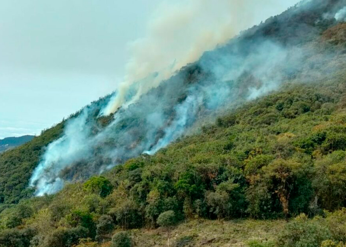 Foto: Emergencia nacional en Ecuador/Cortesía