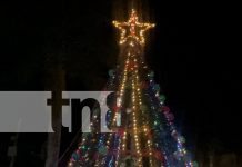 Foto: La Libertad celebra la Navidad con luces, música y tradición. Encendido del árbol y caminata llenaron de alegría el municipio. /TN8