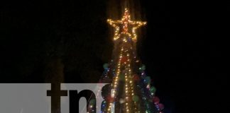 Foto: La Libertad celebra la Navidad con luces, música y tradición. Encendido del árbol y caminata llenaron de alegría el municipio. /TN8