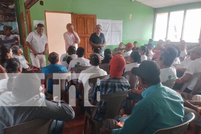 Foto: Éxito en el foro sobre producción de plátano en la Isla de Ometepe / TN8