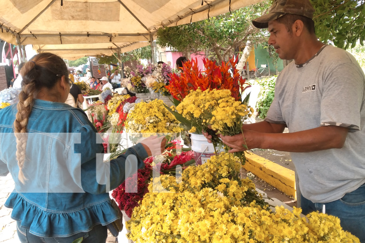 Foto: Cada dos de noviembre se celebra el Día de Nuestros Fieles Difuntos/TN8