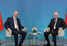 Foto: Diálogo presidencial entre Rusia y Türkiye fortalece relaciones estratégicas / Cortesía