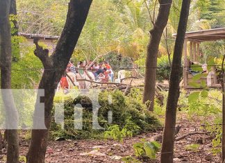 Foto: Accidente fatal en Tola, Rivas: Adulto mayor muere al caer sobre varillas de hierro/TN8