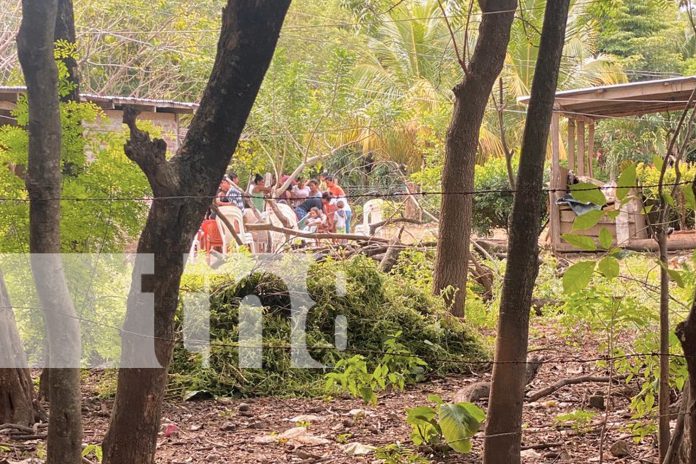 Foto: Accidente fatal en Tola, Rivas: Adulto mayor muere al caer sobre varillas de hierro/TN8