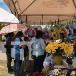 Foto: Cementerios de Nicaragua se visten de color y tradición en el día de los fieles difuntos/TN8