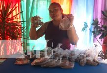 Foto: Productos tradicionales destacan en la feria navideña de Ometepe/TN8