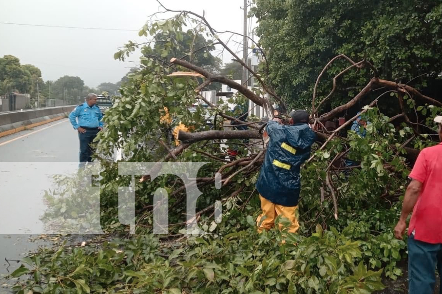 Foto:: Daños por tormenta tropical Sara en Chinandega/TN8