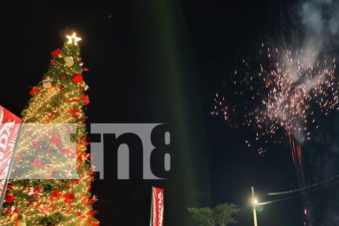 Foto: ¡Feria Ganadera Navidad 2024 ya está en marcha! Exposición de más de 300 especies de ganado, comercio y diversión familiar/TN8