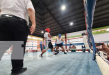 Foto: Chavalos de barrios bravos de Managua se preparan para ser profesionales del boxeo/TN8