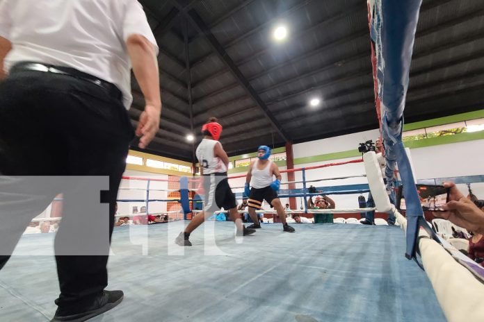 Foto: Chavalos de barrios bravos de Managua se preparan para ser profesionales del boxeo/TN8