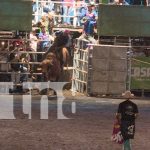 Foto: Managua celebra la Navidad con la Feria Ganadera 2024 y su rodeo profesional/TN8