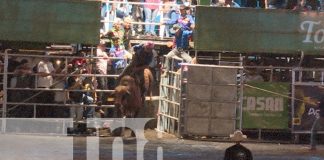 Foto: Managua celebra la Navidad con la Feria Ganadera 2024 y su rodeo profesional/TN8