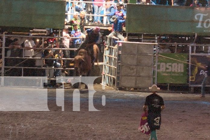 Foto: Managua celebra la Navidad con la Feria Ganadera 2024 y su rodeo profesional/TN8