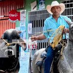 Foto: ¡Madriz está de fiesta! Celebramos 88 años de historia, cultura y desarrollo con actividades que unen a toda la familia. /TN8