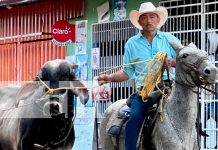 Foto: ¡Madriz está de fiesta! Celebramos 88 años de historia, cultura y desarrollo con actividades que unen a toda la familia. /TN8