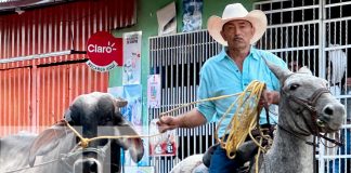 Foto: ¡Madriz está de fiesta! Celebramos 88 años de historia, cultura y desarrollo con actividades que unen a toda la familia. /TN8