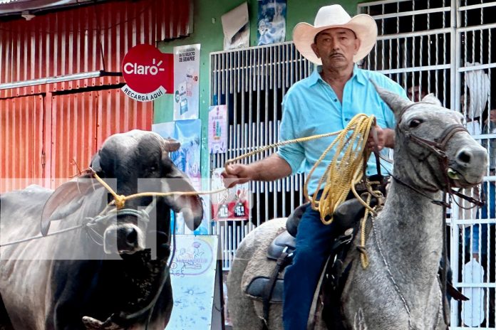 Foto: ¡Madriz está de fiesta! Celebramos 88 años de historia, cultura y desarrollo con actividades que unen a toda la familia. /TN8