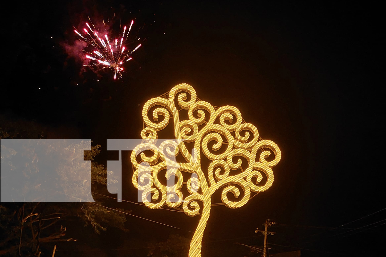 Foto: Somoto ahora brilla con el primer árbol de la vida de Madriz. ¡Un espectáculo de unidad, paz y alegría para las familias!/TN8