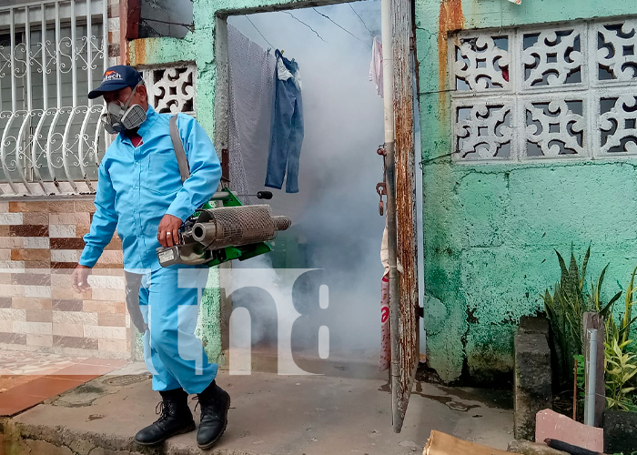 Foto: MINSA lucha contra las epidemias en todo el país/TN8