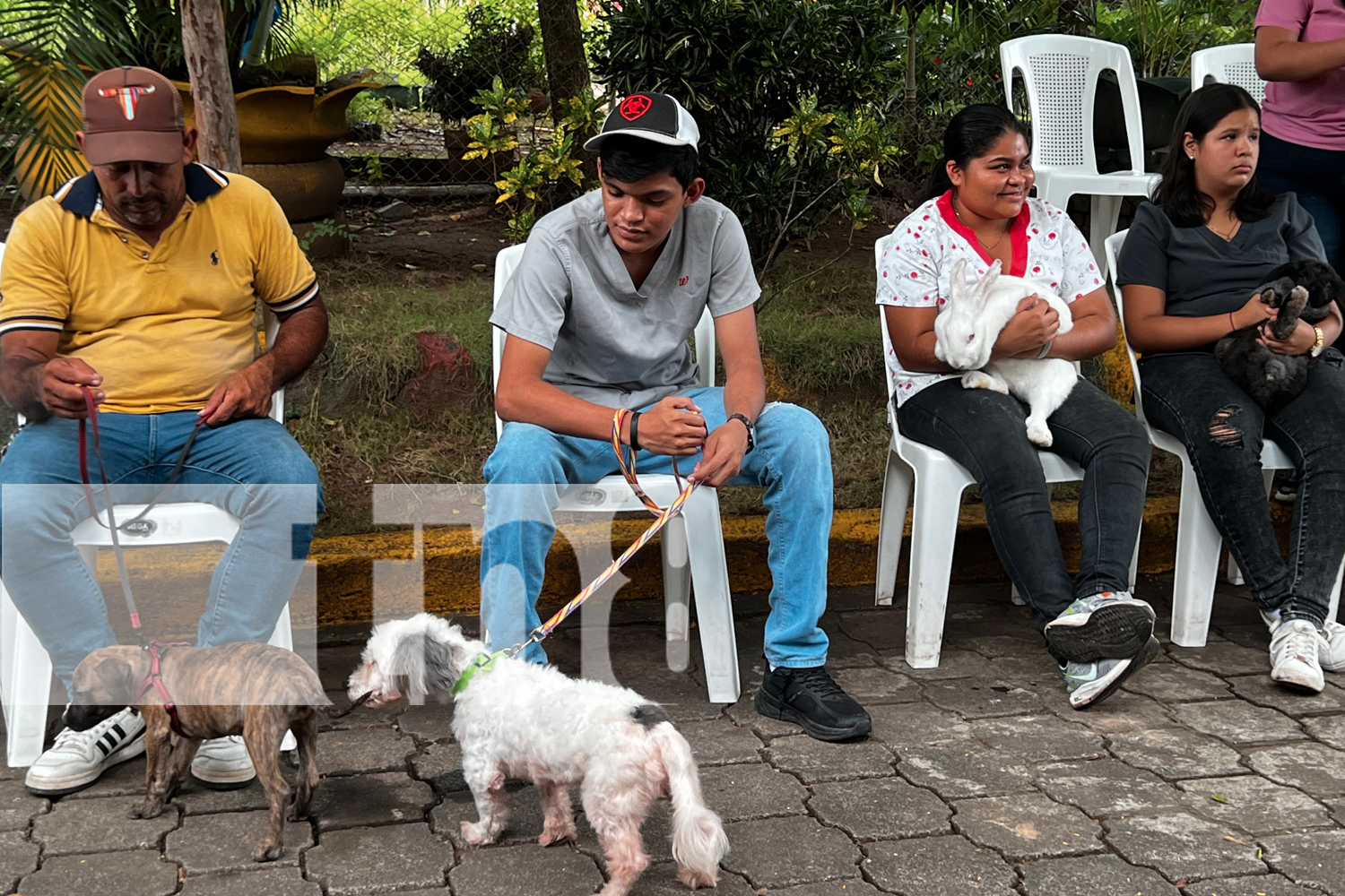 Foto: “Patitas Saludables” en Juigalpa: estudiantes de Veterinaria brindaron atención gratuita a perros, gatos y aves/TN8