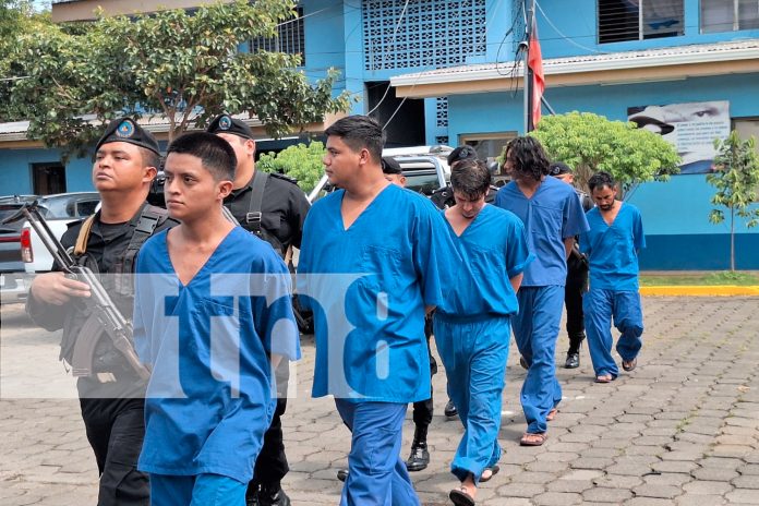 Foto: La Policía Nacional capturó a varios delincuentes por robo y tráfico de drogas. ¡Más seguridad para todos! /TN8