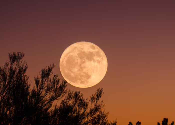 Foto: La superluna de noviembre /cortesía 