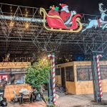 Foto: Granada ya luce su espíritu navideño! Con más de 2 km de luces y árboles en los parques, la ciudad brilla con alegría/TN8