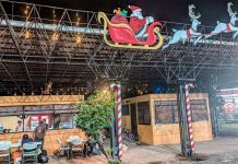 Foto: Granada ya luce su espíritu navideño! Con más de 2 km de luces y árboles en los parques, la ciudad brilla con alegría/TN8