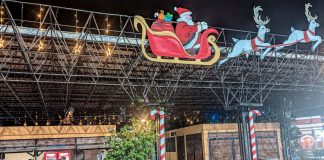 Foto: Granada ya luce su espíritu navideño! Con más de 2 km de luces y árboles en los parques, la ciudad brilla con alegría/TN8