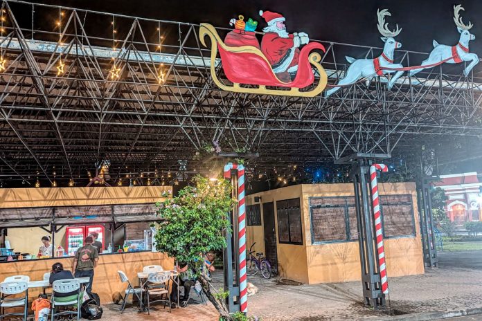 Foto: Granada ya luce su espíritu navideño! Con más de 2 km de luces y árboles en los parques, la ciudad brilla con alegría/TN8