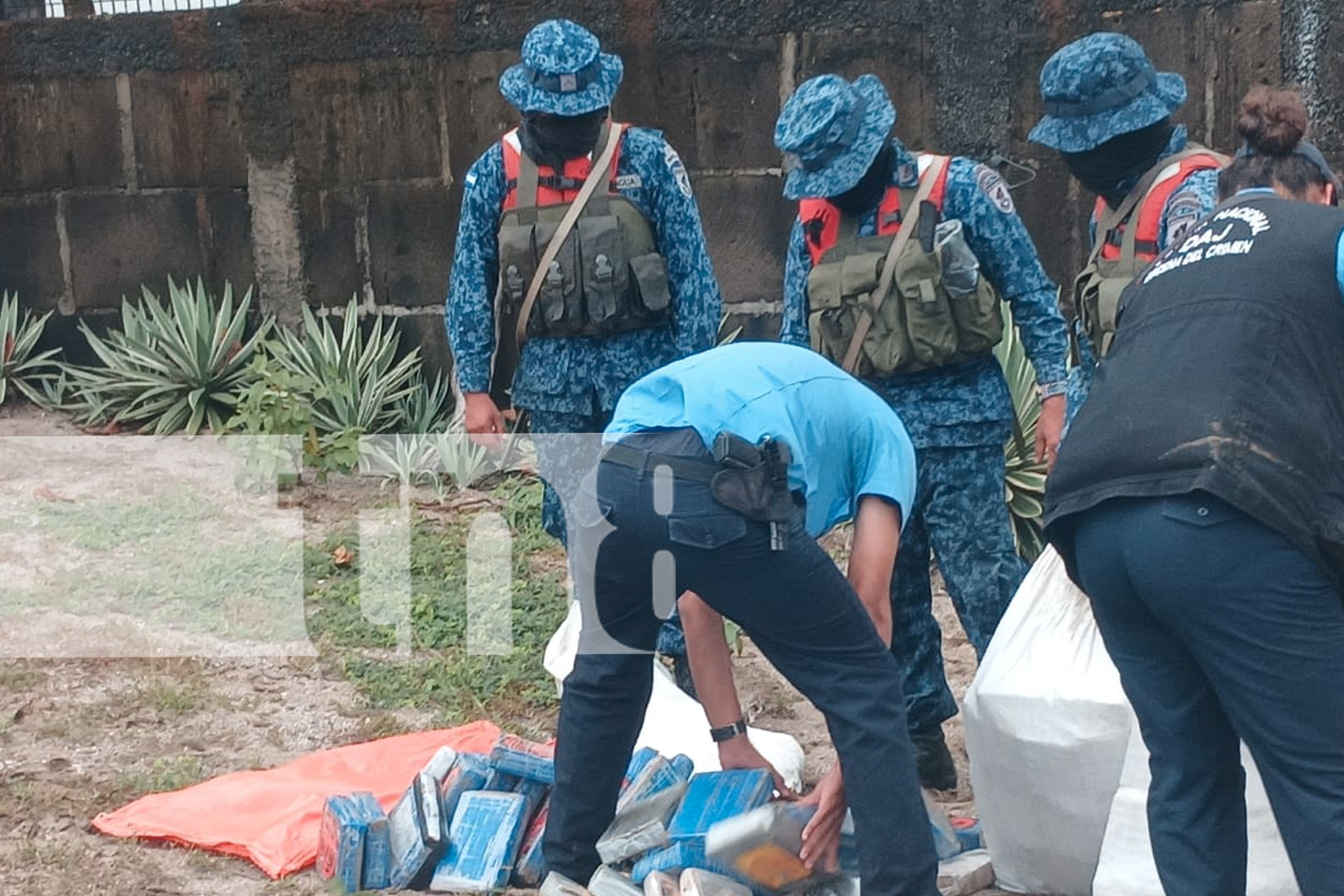 Foto: En menos de 8 días, la Fuerza Naval suma otro logro: 151 tacos de droga incautados al sur de Masachapa. ¡Otro golpe al narcotráfico!/TN8