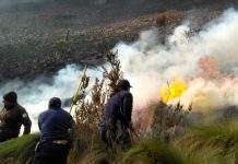 Foto: Emergencia nacional en Ecuador/Cortesía