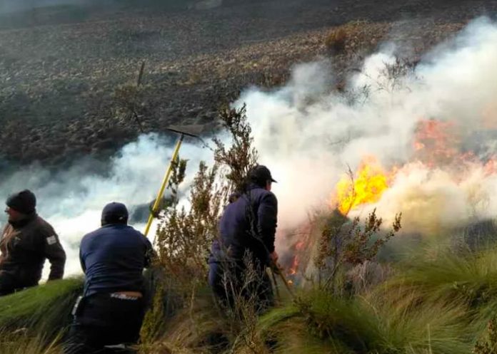 Foto: Emergencia nacional en Ecuador/Cortesía