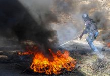 Foto: Pandillas que operan en Puerto Príncipe, la capital de Haití/Cortesía