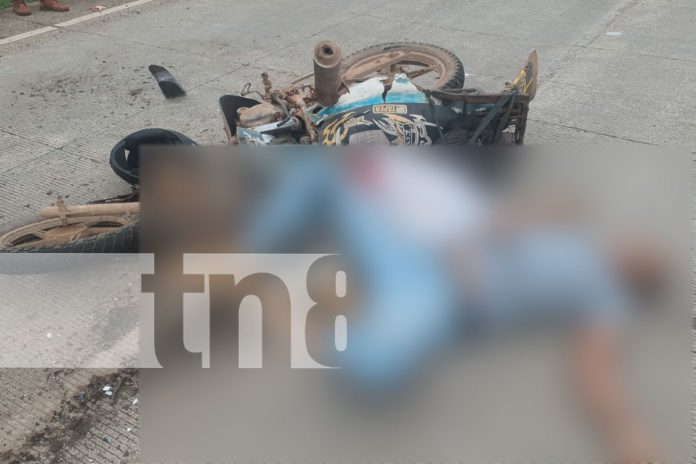 Foto: Motociclista muere al impactar contra autobús en el Caribe Sur/TN8